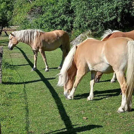 Sandbrekke Gjestegard Skjærhollen